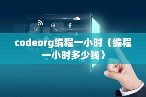 codeorg编程一小时（编程一小时多少钱）