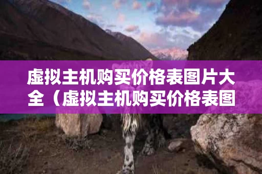 虚拟主机购买价格表图片大全（虚拟主机购买价格表图片大全高清）
