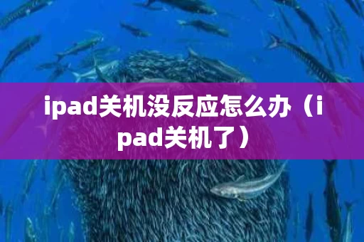 ipad关机没反应怎么办（ipad关机了）