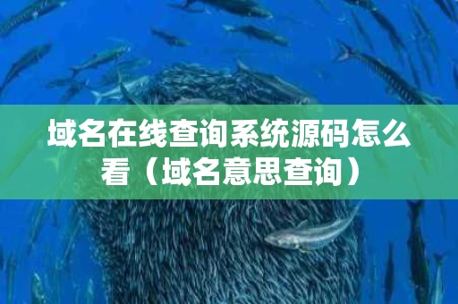 域名在线查询系统源码怎么看（域名意思查询）