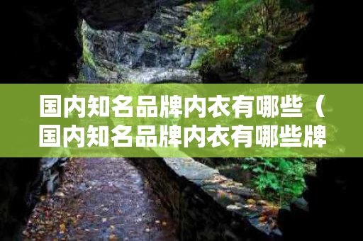 国内知名品牌内衣有哪些（国内知名品牌内衣有哪些牌子）