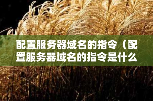 配置服务器域名的指令（配置服务器域名的指令是什么）