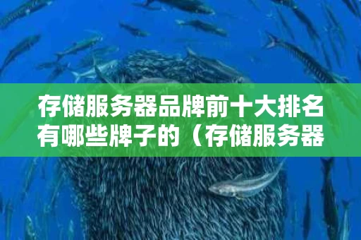 存储服务器品牌前十大排名有哪些牌子的（存储服务器哪个好）