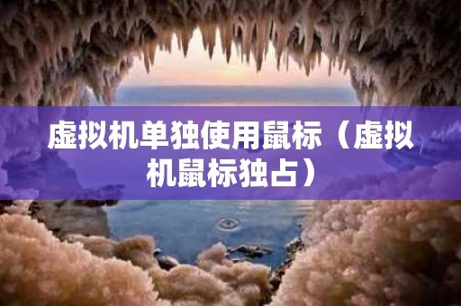 虚拟机单独使用鼠标（虚拟机鼠标独占）