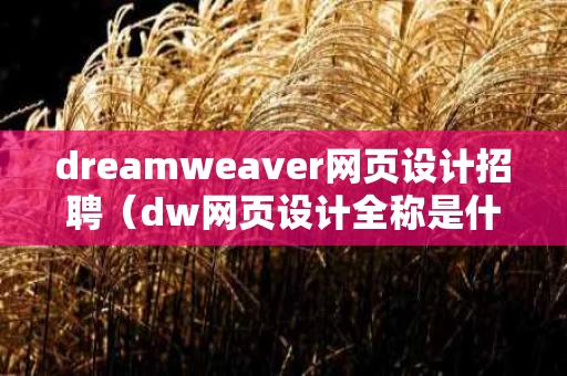 dreamweaver网页设计招聘（dw网页设计全称是什么）