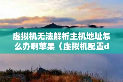 虚拟机无法解析主机地址怎么办啊苹果（虚拟机配置dns后无法解析域名）