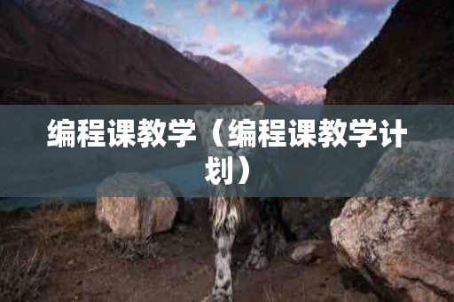 编程课教学（编程课教学计划）