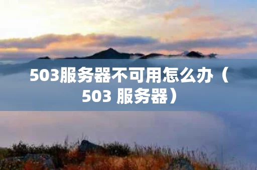 503服务器不可用怎么办（503 服务器）