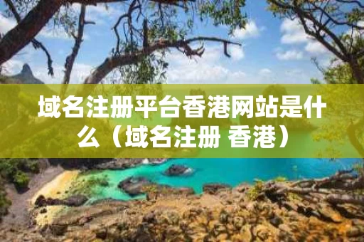 域名注册平台香港网站是什么（域名注册 香港）