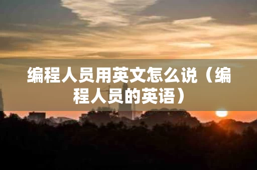 编程人员用英文怎么说（编程人员的英语）