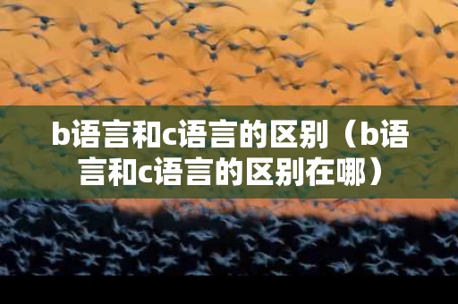 b语言和c语言的区别（b语言和c语言的区别在哪）