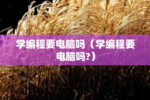 学编程要电脑吗（学编程要电脑吗?）