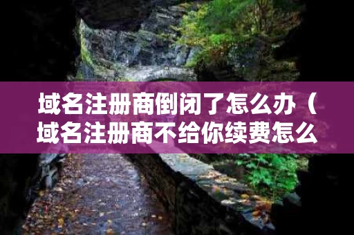 域名注册商倒闭了怎么办（域名注册商不给你续费怎么办）