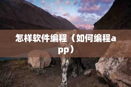 怎样软件编程（如何编程app）