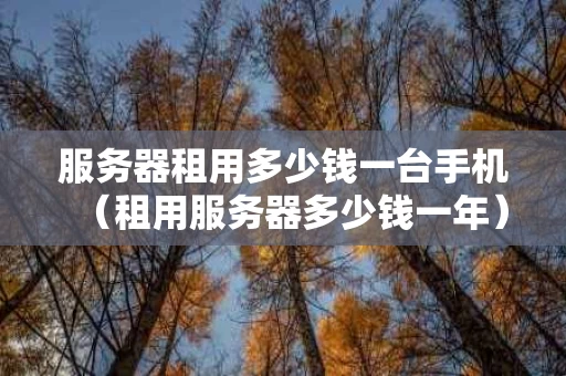 服务器租用多少钱一台手机（租用服务器多少钱一年）