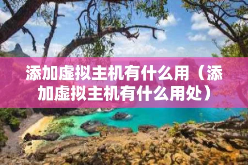 添加虚拟主机有什么用（添加虚拟主机有什么用处）