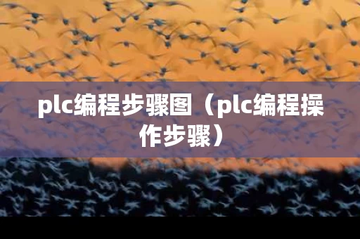 plc编程步骤图（plc编程操作步骤）