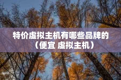 特价虚拟主机有哪些品牌的（便宜 虚拟主机）