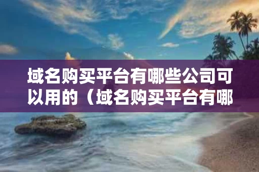 域名购买平台有哪些公司可以用的（域名购买平台有哪些公司可以用的呢）