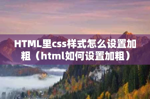 HTML里css样式怎么设置加粗（html如何设置加粗）