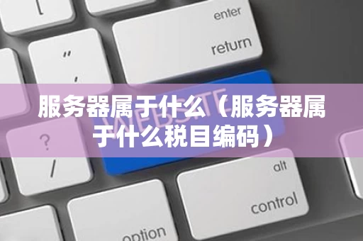 服务器属于什么（服务器属于什么税目编码）