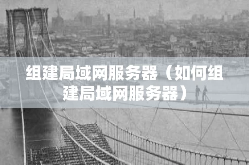 组建局域网服务器（如何组建局域网服务器）