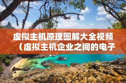 虚拟主机原理图解大全视频（虚拟主机企业之间的电子商务）