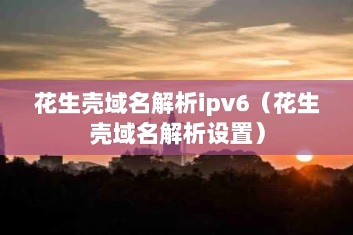 花生壳域名解析ipv6（花生壳域名解析设置）
