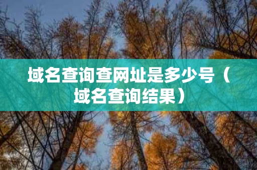 域名查询查网址是多少号（域名查询结果）