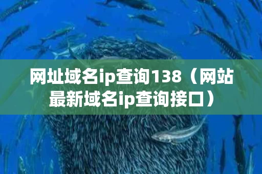 网址域名ip查询138（网站最新域名ip查询接口）