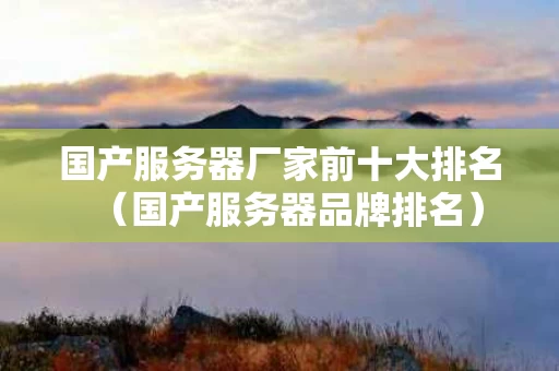 国产服务器厂家前十大排名（国产服务器品牌排名）