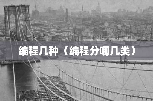 编程几种（编程分哪几类）