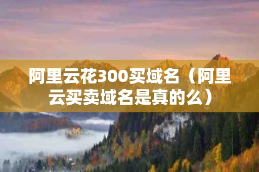 阿里云花300买域名（阿里云买卖域名是真的么）