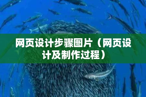 网页设计步骤图片（网页设计及制作过程）