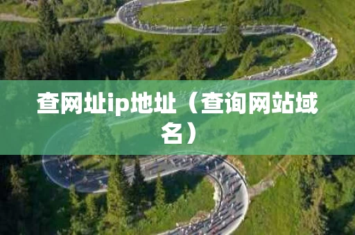 查网址ip地址（查询网站域名）