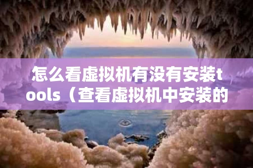 怎么看虚拟机有没有安装tools（查看虚拟机中安装的os信息）