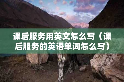 课后服务用英文怎么写（课后服务的英语单词怎么写）