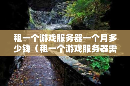 租一个游戏服务器一个月多少钱（租一个游戏服务器需要多少钱）