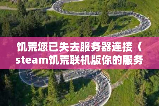 饥荒您已失去服务器连接（steam饥荒联机版你的服务器无应答）