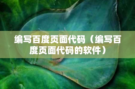 编写百度页面代码（编写百度页面代码的软件）