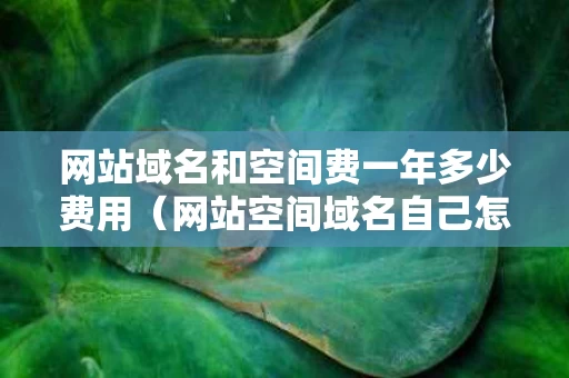 网站域名和空间费一年多少费用（网站空间域名自己怎么续费）
