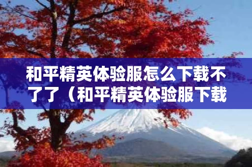 和平精英体验服怎么下载不了了（和平精英体验服下载失败怎么办）