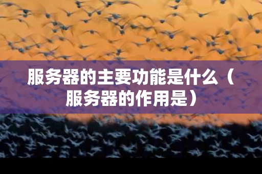 服务器的主要功能是什么（服务器的作用是）