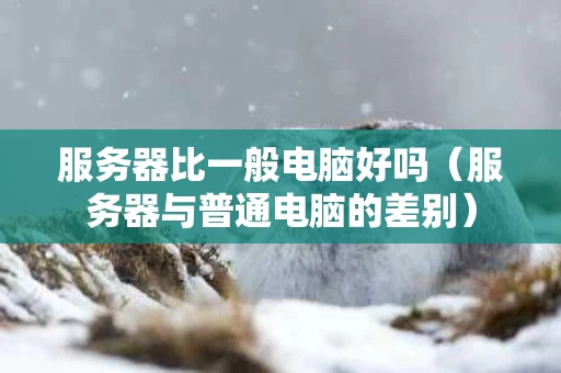 服务器比一般电脑好吗（服务器与普通电脑的差别）