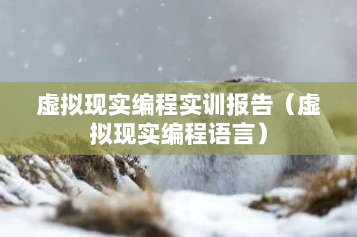 虚拟现实编程实训报告（虚拟现实编程语言）