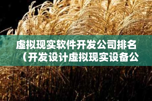 虚拟现实软件开发公司排名（开发设计虚拟现实设备公司）