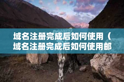 域名注册完成后如何使用（域名注册完成后如何使用邮箱）