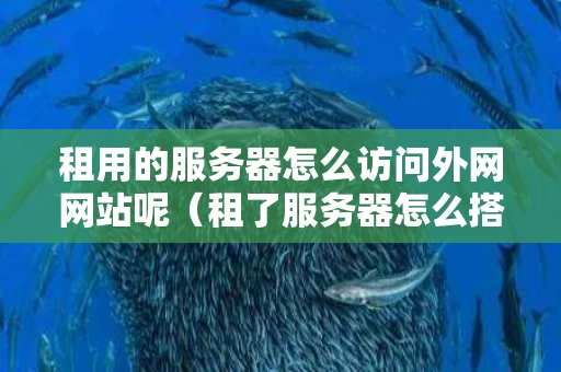 租用的服务器怎么访问外网网站呢（租了服务器怎么搭建网站）