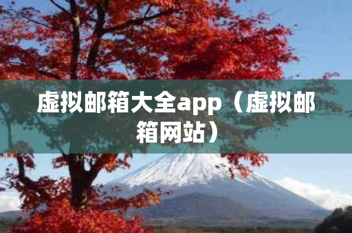 虚拟邮箱大全app（虚拟邮箱网站）