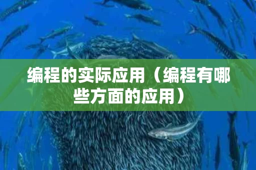 编程的实际应用（编程有哪些方面的应用）